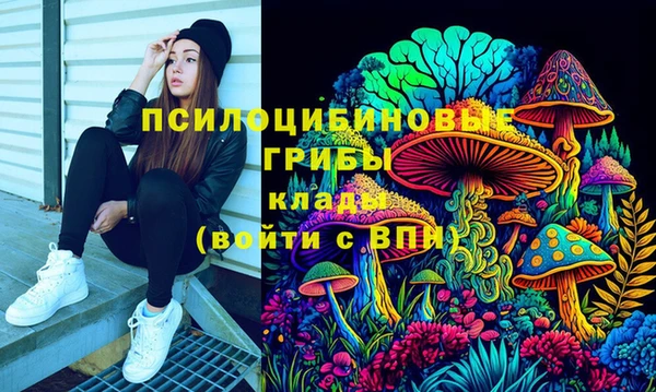 PSILOCYBIN Бронницы